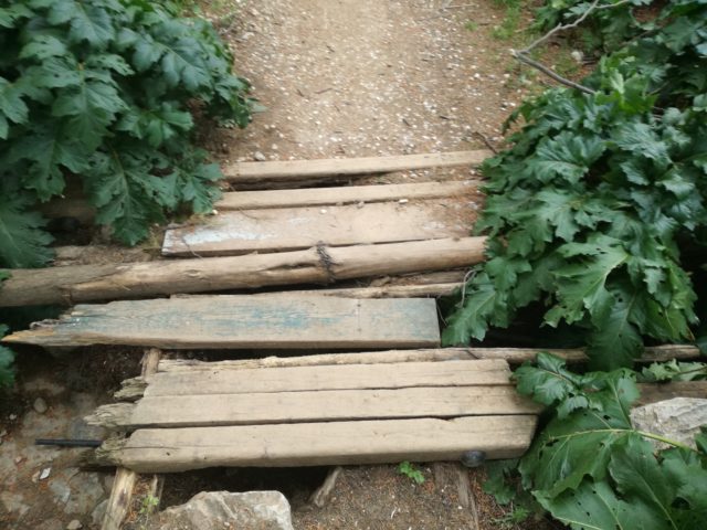 Καλά και όχι καλά νέα για το Άλσος Ευελπίδων