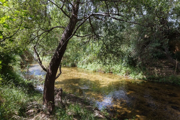 Μπράβο στους Φρουρούς του Κηφισού. Να σταθούμε φρουροί του δικού μας φυσικού παραδείσου, του Πεδίου του Άρεως